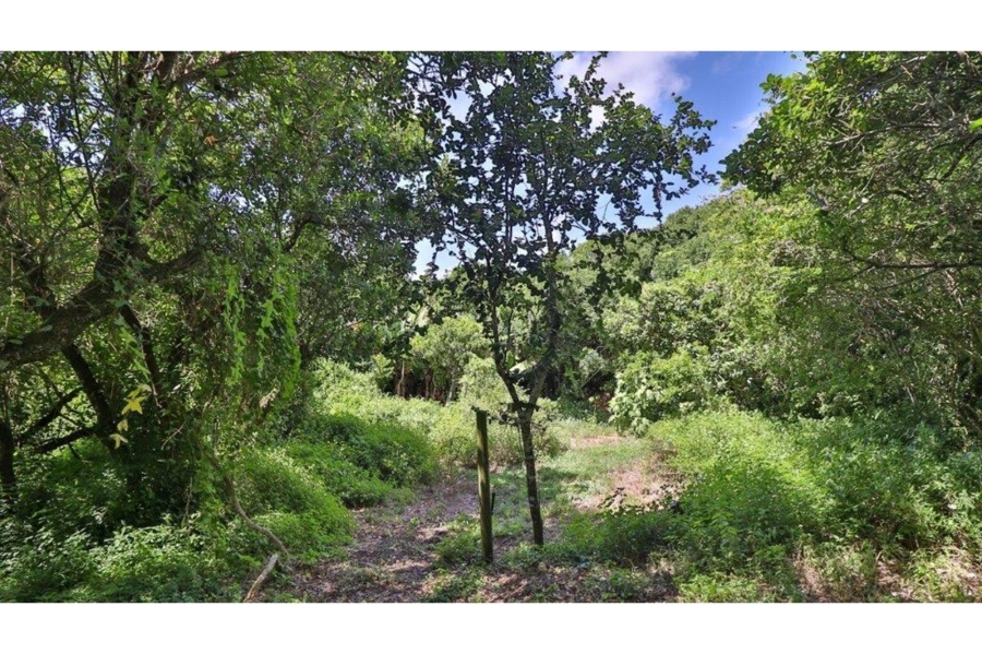 6 Bedroom Property for Sale in Lovemore Park Eastern Cape